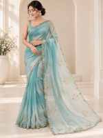 DNO 33  Shaded blue